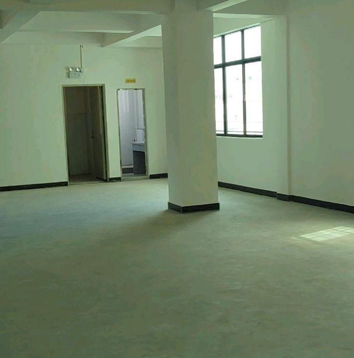 塘厦振兴围全新厂房出租！！！