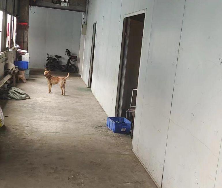 有电梯，免费停车场，个人分租，