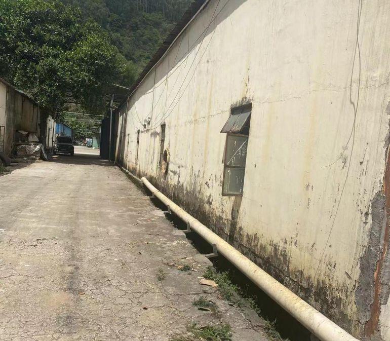 黄江原房东厂房直租2600平（无公摊）单层钢结构