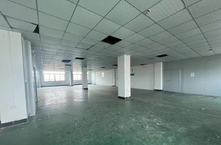 一手厂房出租，一手房东