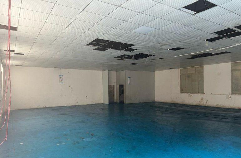 一手房东一楼厂房出租（可分租）