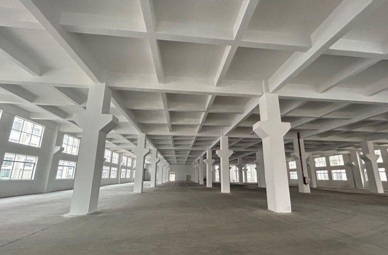 大朗原房东独院八米高厂房带牛角分租