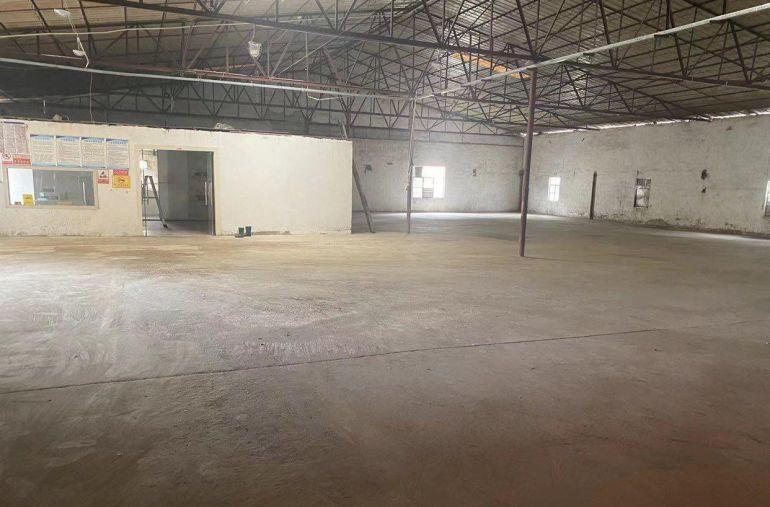 黄江原房东厂房直租2600平（无公摊）单层钢结构