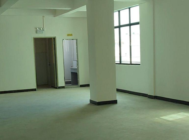 塘厦振兴围全新厂房出租！！！