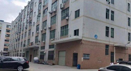 凤岗油甘埔电子 毛刷 小加工厂房出租1600平靠近主干道