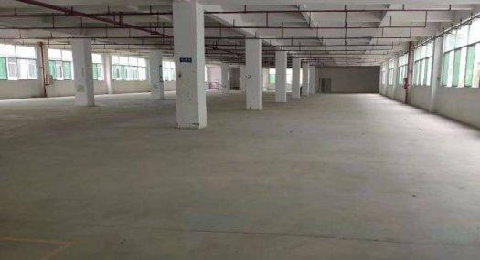 塘厦镇大坪出租楼上厂房6000平带消防喷淋 豪华办公室