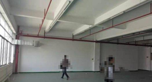 靠深圳 主干道旁 凤岗雁田楼上带装修办公室厂房出租1300平