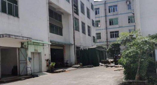 塘厦镇科苑城原房东一楼厂房出租700平 高5.5米