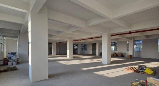 東莞企石江南大道工房出租