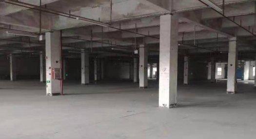 带卸货平台清溪临近塘厦高速路口楼上厂房出租5000平好招工