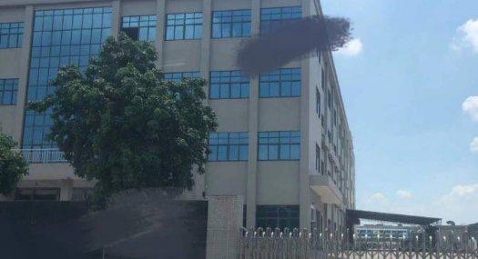 东莞东莞市 寮步镇一楼2000㎡ 厂房出租 独院 可环评 可分租