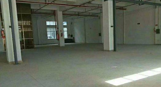 凤岗油甘埔注塑设备五金模具厂房出租1100平 现成办公室装修 可装峰谷表