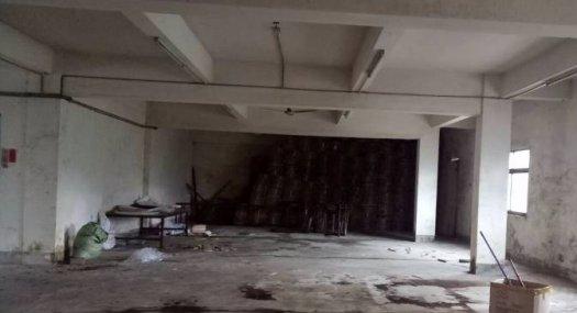 凤岗金凤凰出租二楼厂房500平 面积实在 好招工