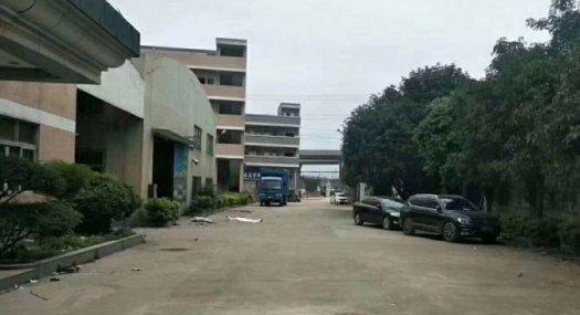 凤岗镇碧湖大道出租独院带牛角，行车厂房6000平