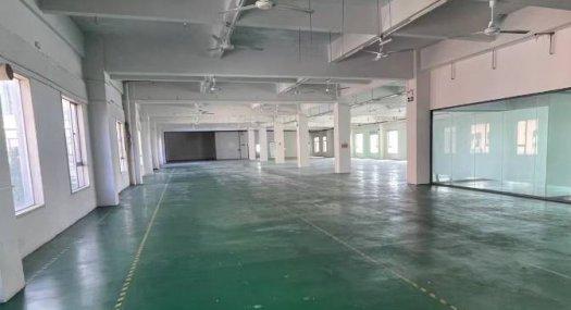东莞东莞市 长安沙头南区大康惠附近1500㎡ 厂房租售层高4.5米 配电450KVA 独院 可环评 可分租