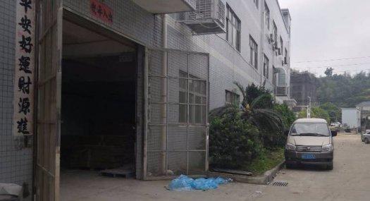 凤岗镇金凤凰五金 注塑 塑胶价格便厂房出租730平