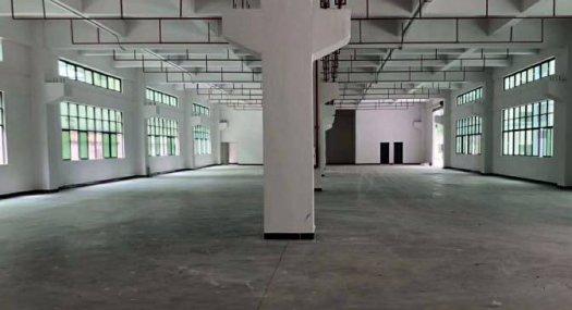 塘厦镇沃尔玛出租一楼带牛角电大按需增厂房1200平