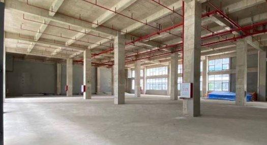 佛山南海准现房全新独门独院产权厂房出售