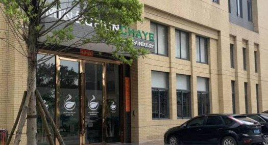 （出售）广佛大湾区全新50年独立产权