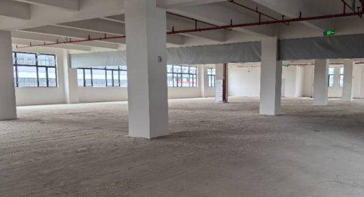 佛山顺德 顺德区均安中路1号100000㎡ 厂房租售 独院 有燃气 可环评 可分租