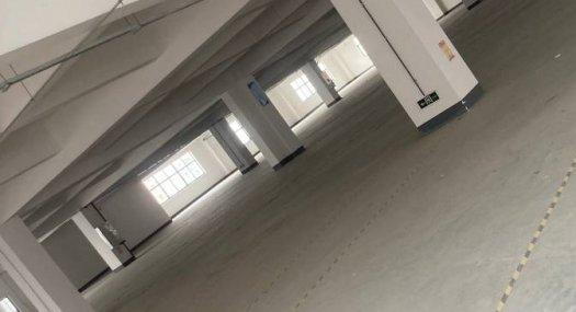 佛山顺德 顺德区杏坛镇海凌村海赞路24号15000㎡ 厂房租售层高7米 配电380KVA 可环评 可分租