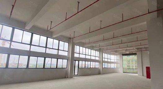 湾区稀缺独栋厂房！！！低密度M2用地！！