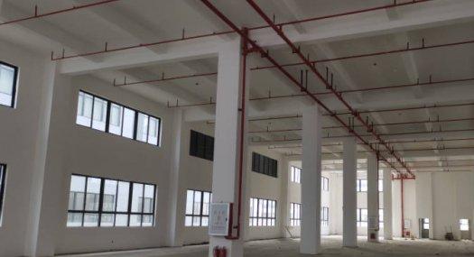 佛山高明 更合镇小洞工业区5000㎡ 厂房出售层高7.5米 配电300KVA 独院 有燃气 可环评