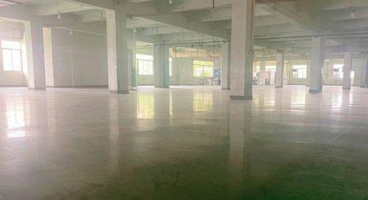 佛山市狮山招大十万平方花园式红本厂房出租