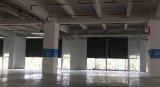 佛山顺德 大良凤翔工业区凤新路5600㎡ 厂房出售层高7米 配电500KVA 独院 可环评