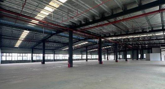 【低价10~20元/平】佛山顺德【6-10米高】稀缺工业园厂房、仓库出租