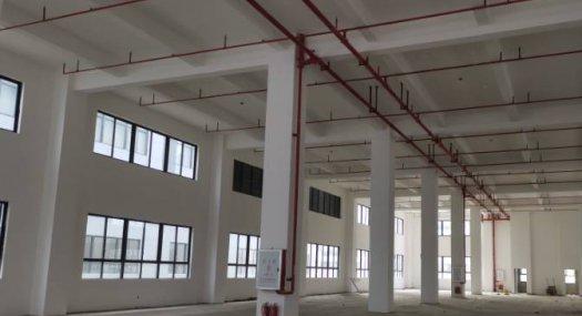 佛山高明 20000㎡ 厂房出售层高7米 配电300KVA 独院天车30吨 有燃气 可环评