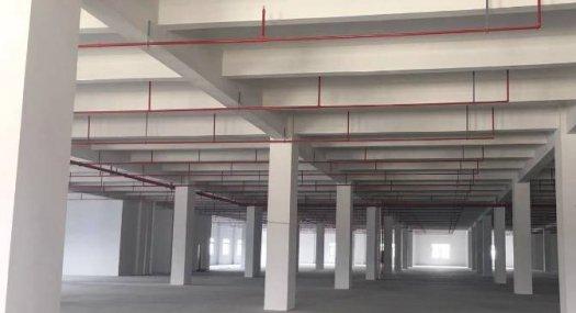 顺德区杏坛镇全新厂房 面积2231平方 配电320千瓦 丙二类消防 可分租