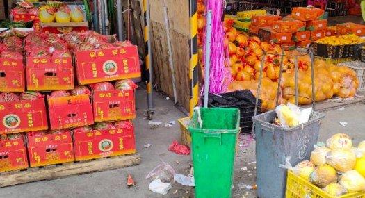 禅桂中心地区水果冷库出租 500平起租