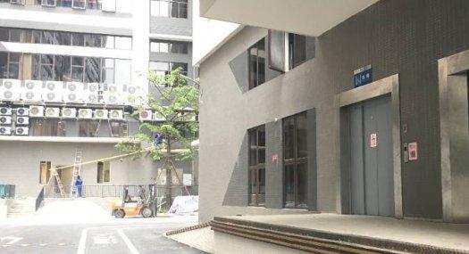 顺德区杏坛镇全新厂房 面积2231平方 配电320千瓦 丙二类消防 可分租