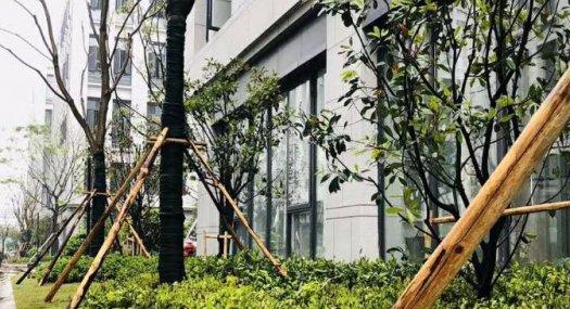 南海狮山开发商直销，50年产权厂房，可作写字楼，可按揭