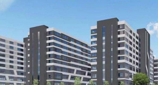 全新50年产权一手厂房 无税收要求 不限行业 冷热能源覆盖