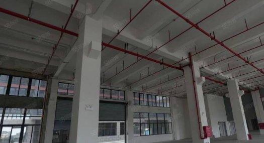 独栋双拼、四拼厂房出售