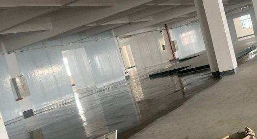 佛山顺德 顺德区杏坛镇海凌村海赞路24号15000㎡ 厂房租售层高7米 配电380KVA 可环评 可分租