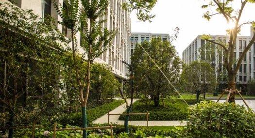 顺德经促联合乐从开发商直销，50年产权厂房，可按揭