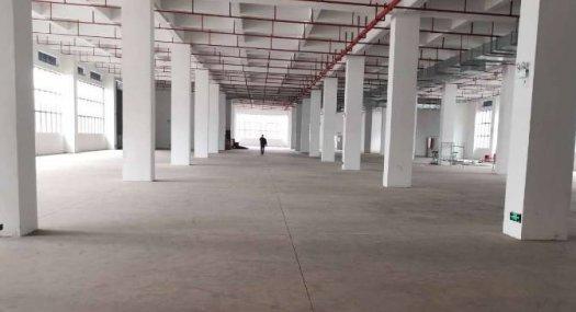 广州黄埔 瑞发路10800㎡ 厂房租售层高7米 可分租