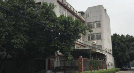 大湾区枢纽龙脉地段厂房出售项目推介