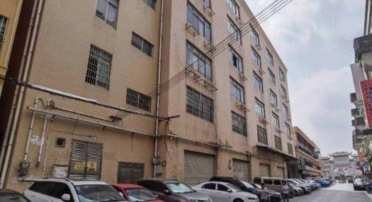 广州番禺 番禺区南村镇塘步村6200㎡ 厂房租售 有燃气 可环评 可分租