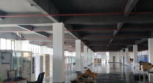 广州番禺 长华创意谷位于番禺钟村白山路11号自编B区3栋5000㎡ 厂房租售层高4米 独院 可分租