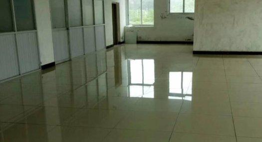 广州增城 16071㎡ 高台库厂房 租售 层高14米 跨度36米 配电容量630千伏安 独门独院 带宿舍