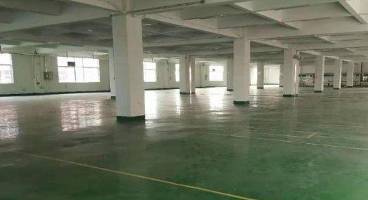 南沙东涌5600平方厂房新装修厂房出租
