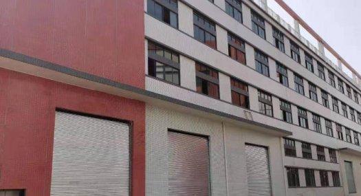 广州白云 凤翔中路6000㎡ 厂房租售层高5米 跨度20米 配电315KVA 独院 可环评