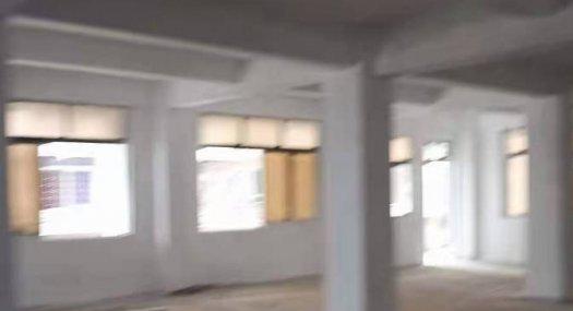 广州白云 白云区江高镇高塘江德七街21号3000㎡ 框架厂房出售 可分租