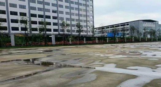 广州黄埔 50000㎡ 土地出售 独院 有蒸汽 有燃气 可环评