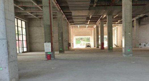 广州黄埔 8000㎡厂房出租 层高7米 可环评