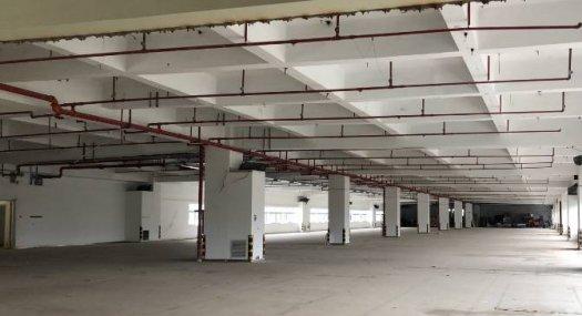 广州黄埔 20000㎡ 厂房租售 可环评